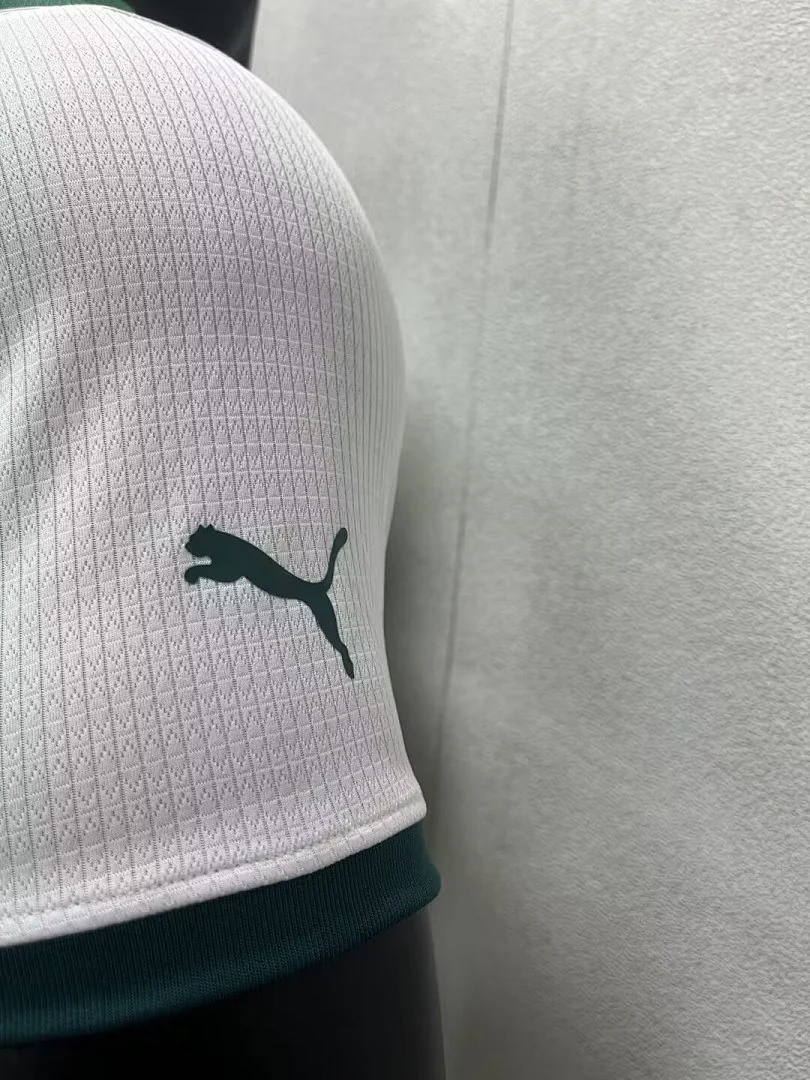 22-23 Palmeiras Away - view 3