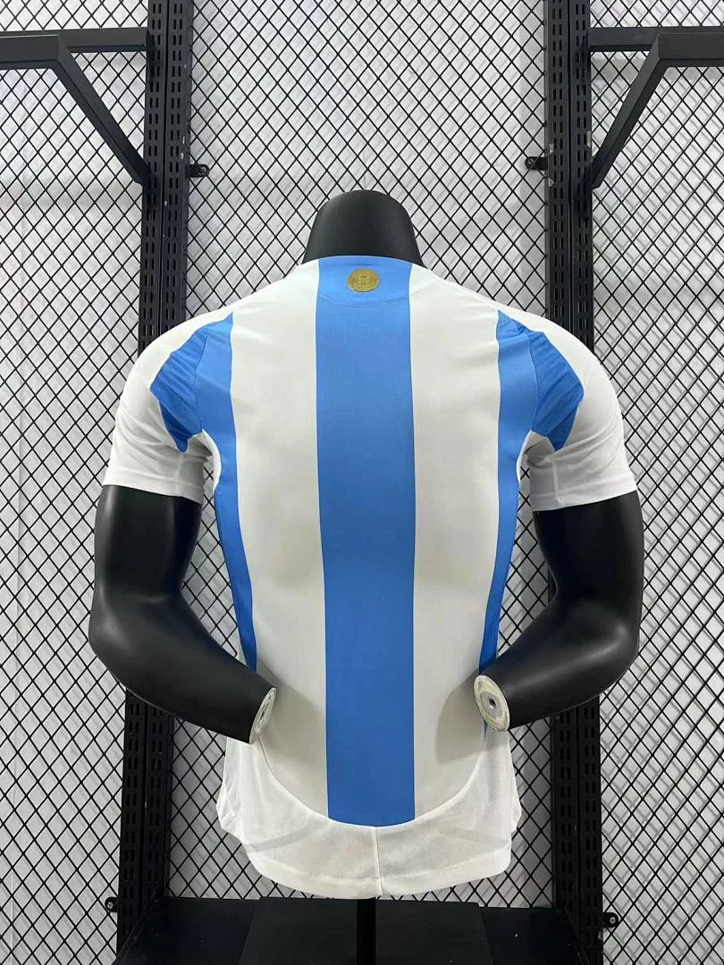 24-25 Argentina Home - view 8