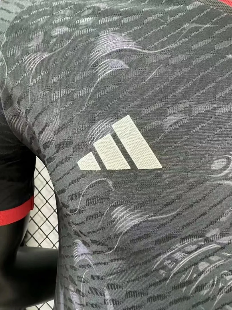 2425 Japan Special Edition S-2XL - view 4