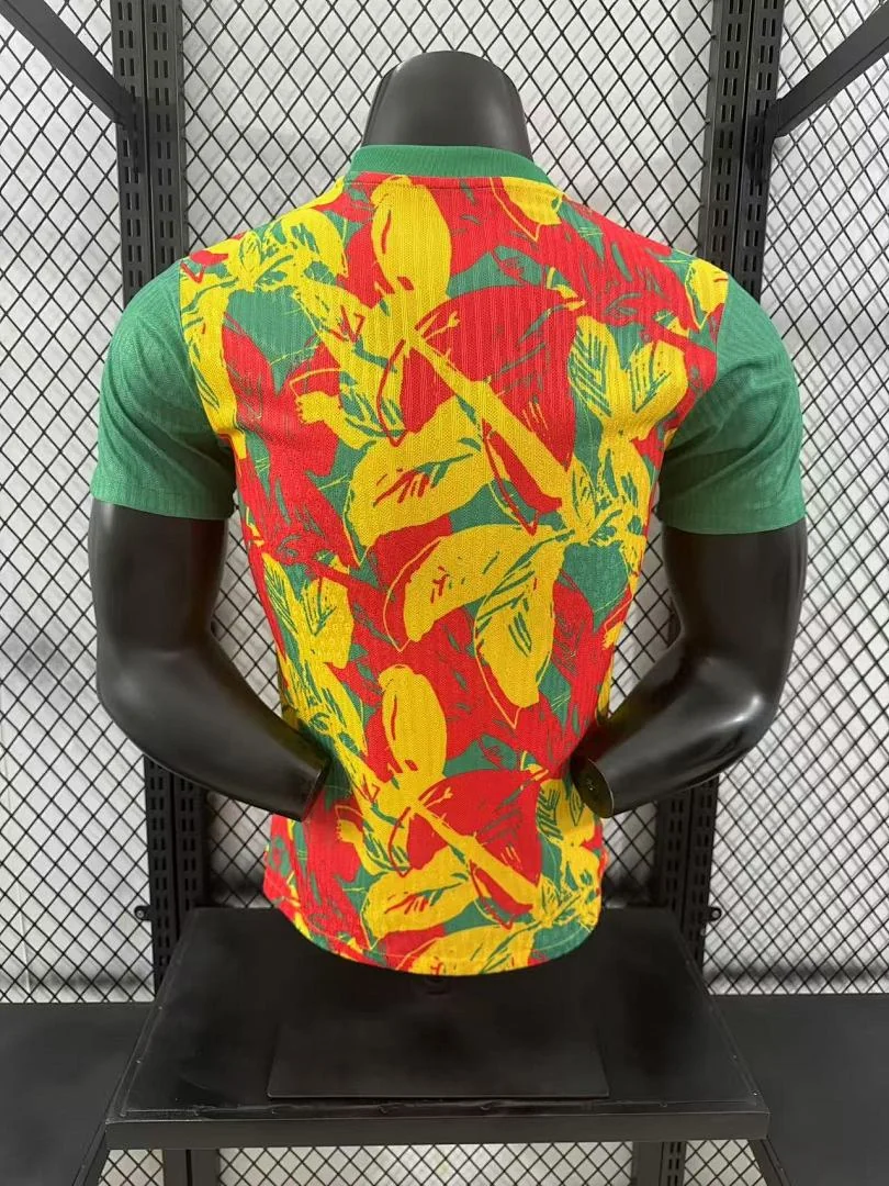 2425 Senegal Special Edition S-2XL - view 2