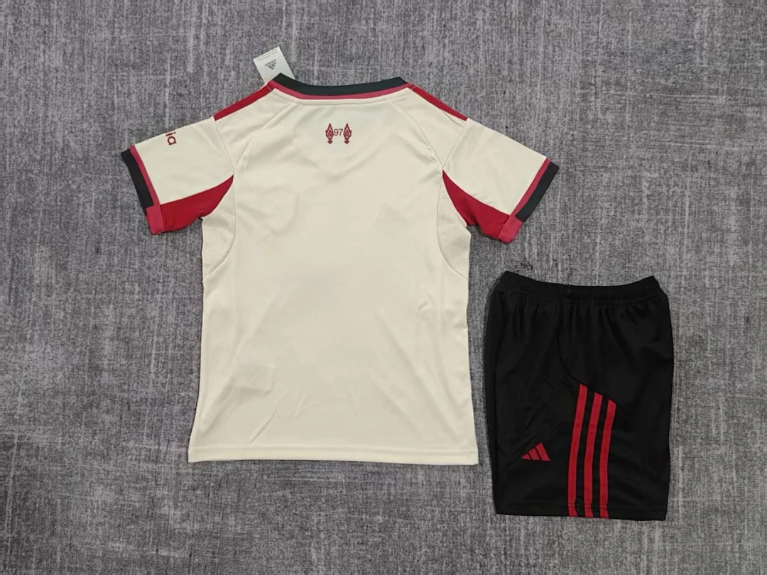 25-26 Liverpool Away - view 2
