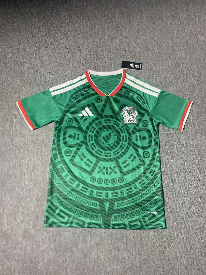 26-27 Mexico Home - view 4