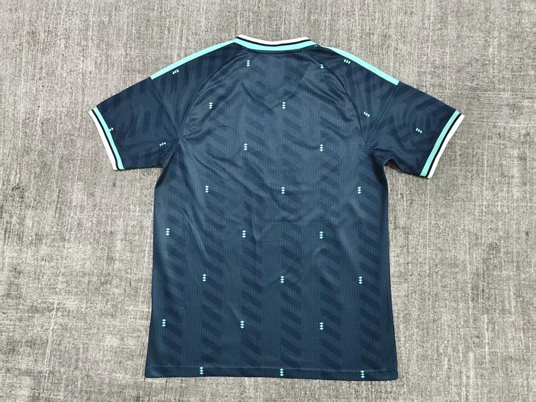Germany Away - view 2