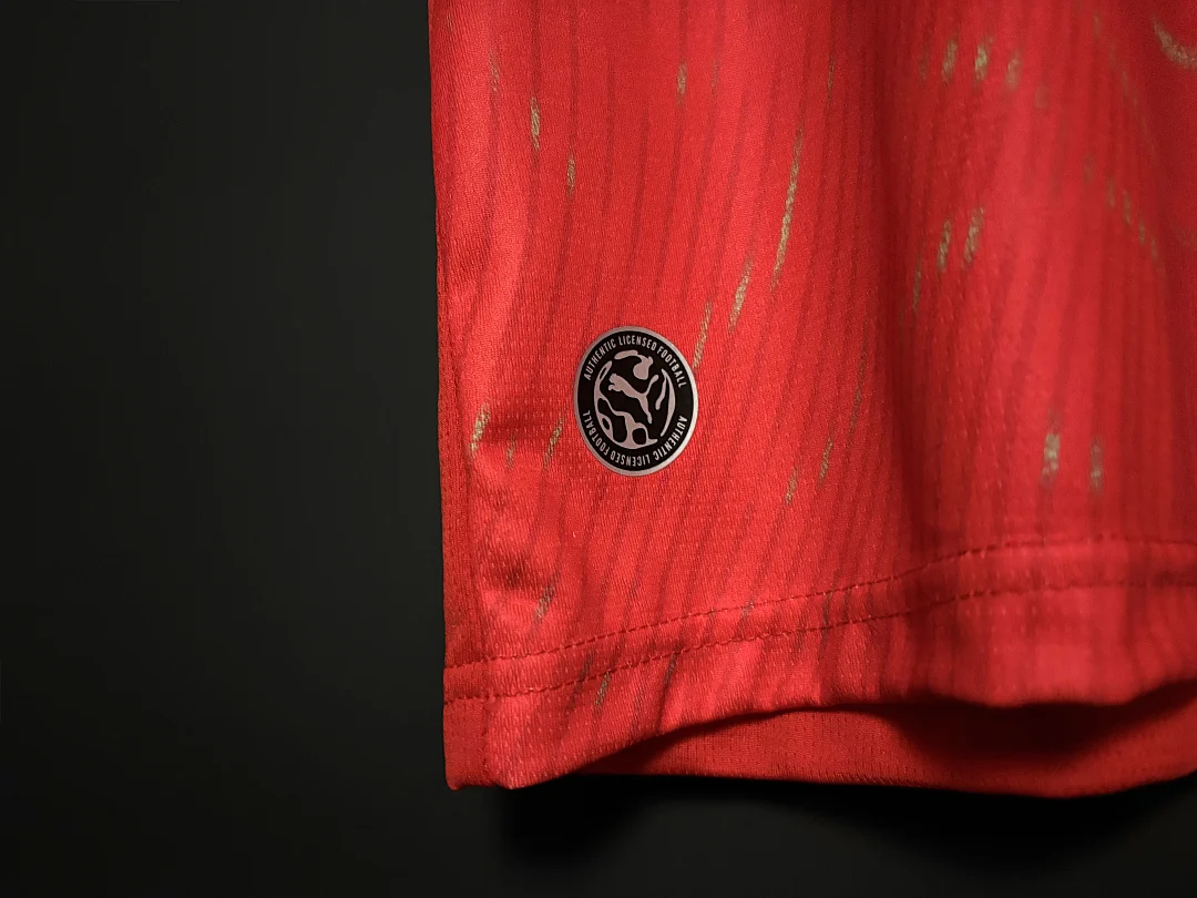 26 World Cup Switzerland Home S-4XL - view 5
