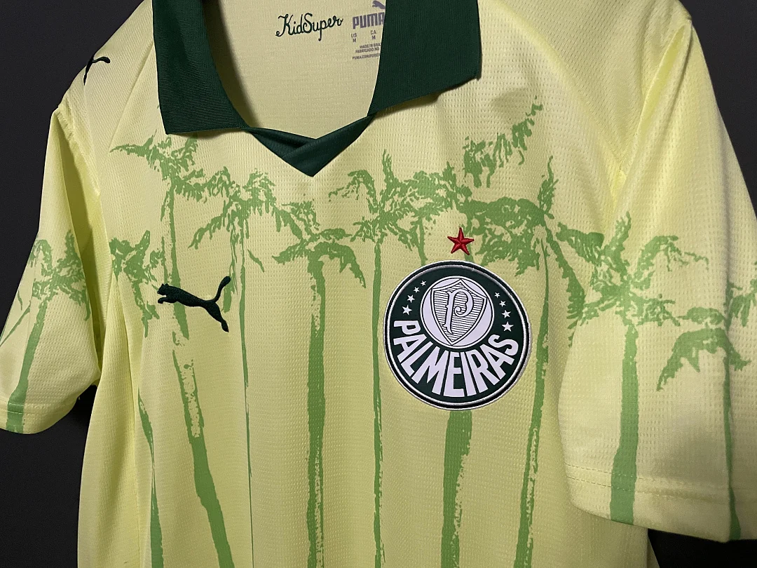 25-26 Palmeiras Special Edition - view 4