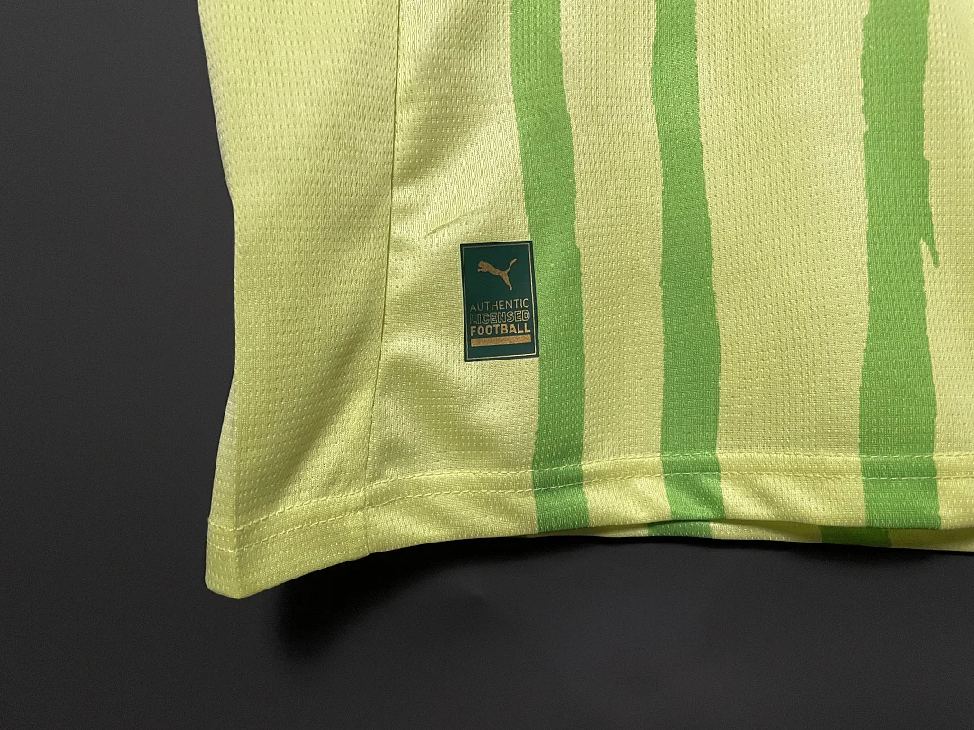 25-26 Palmeiras Special Edition - view 6