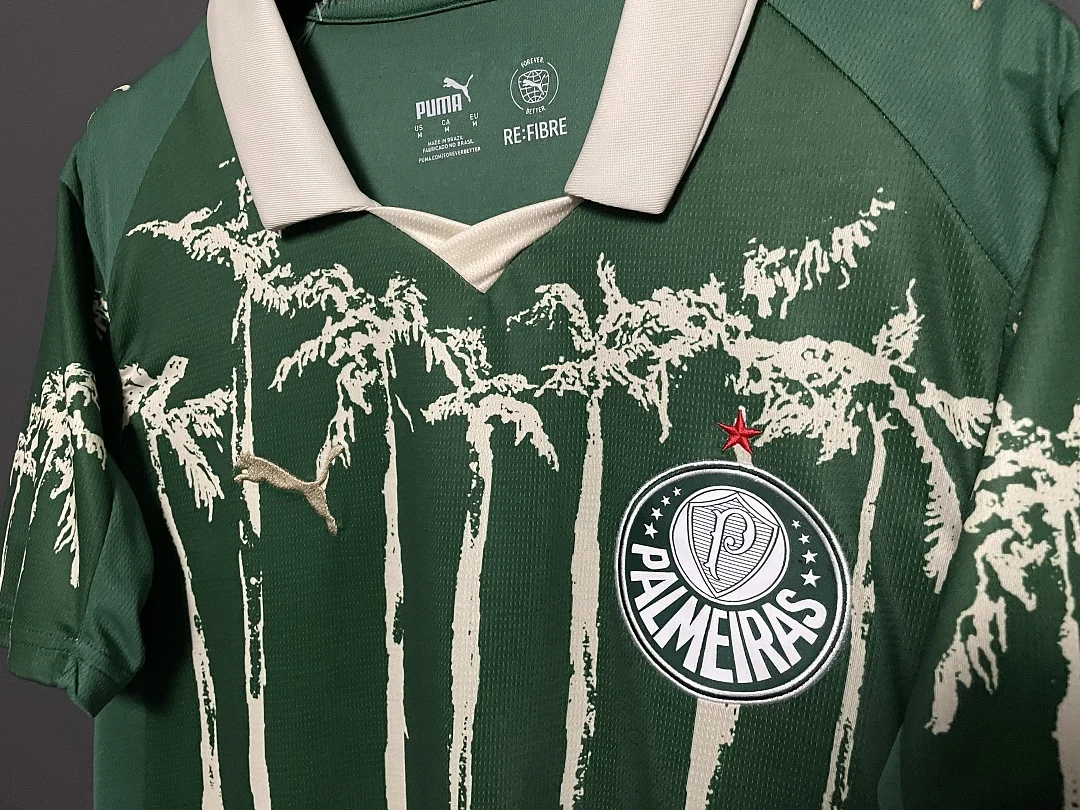 25-26 Palmeiras Special Edition - view 4