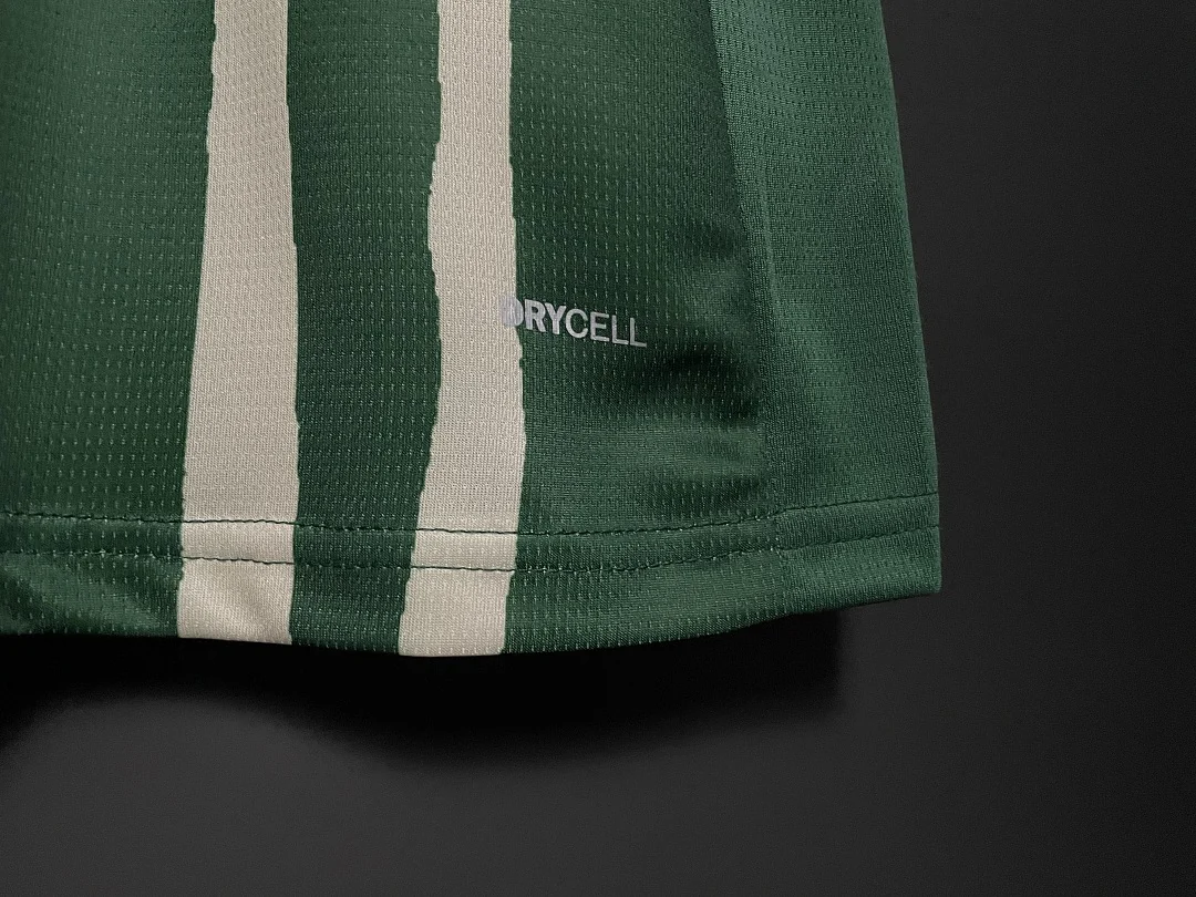 25-26 Palmeiras Special Edition - view 6