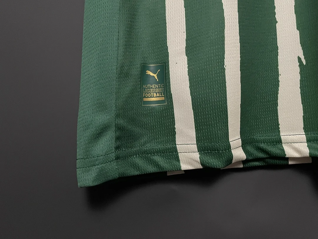 25-26 Palmeiras Special Edition - view 7